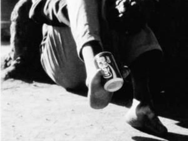 மரம் ஏறுதல் : 