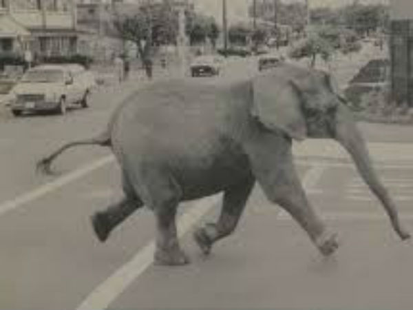 1994. ஆகஸ்ட் 20 : 