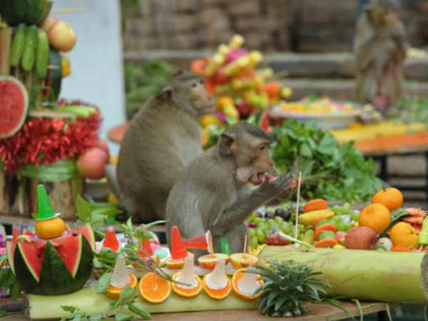 குரங்கு : 