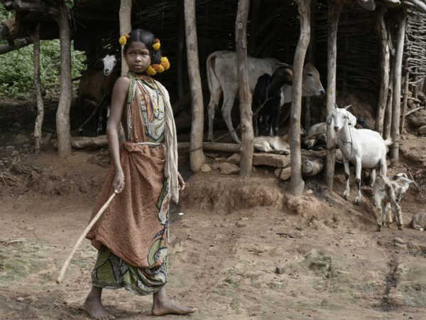 பத்து குடும்பங்கள் : 