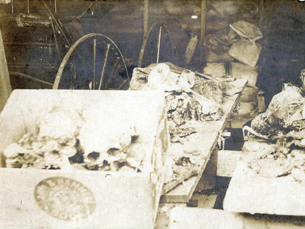 குழந்தைகள் : 