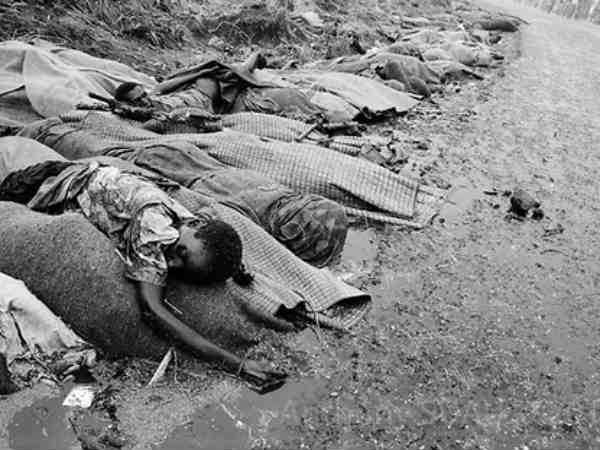 பெல்ஜியன் : 