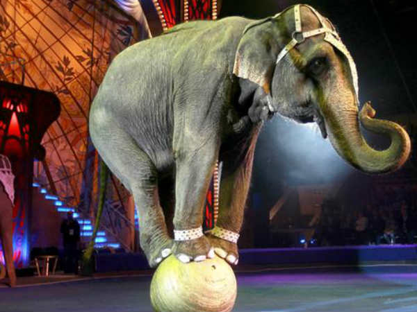 முதல் முறை : 