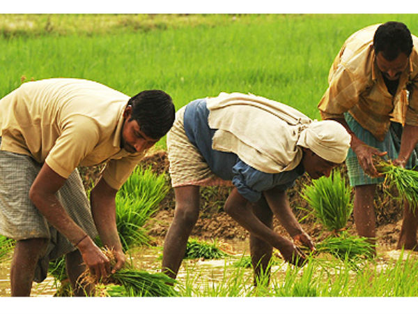 உழவனை வளர்