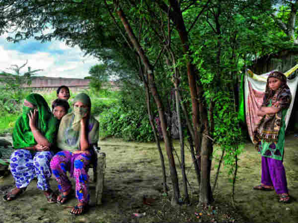 பெட்ஷீட் : 