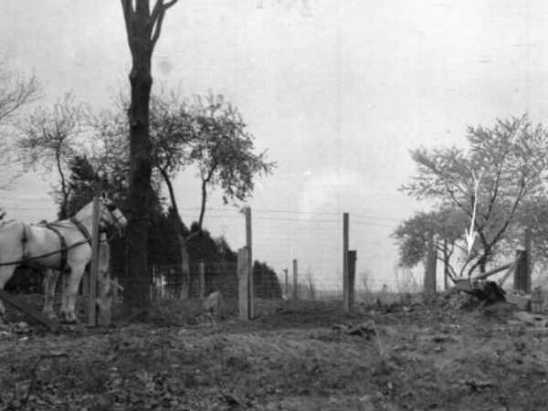 முதல் அடி : 