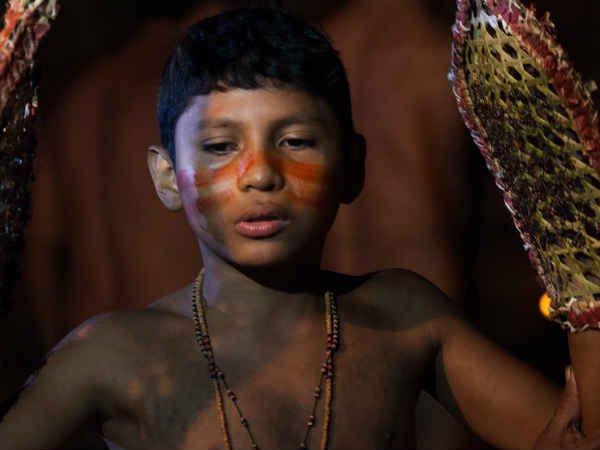  புல்லட் எறும்பு : 