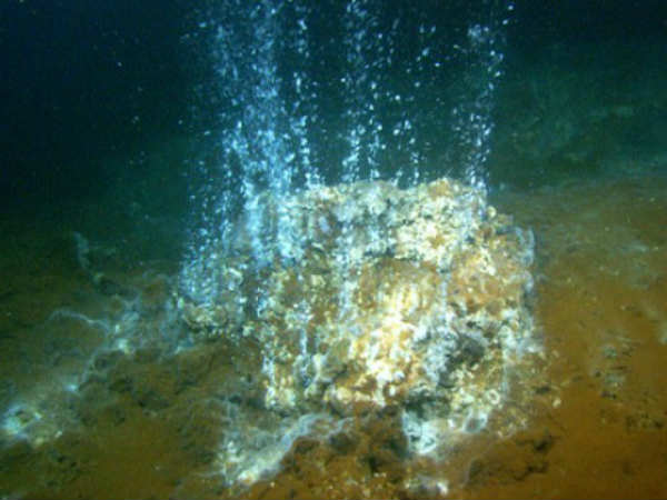  4 கிலோ தங்கம் : 