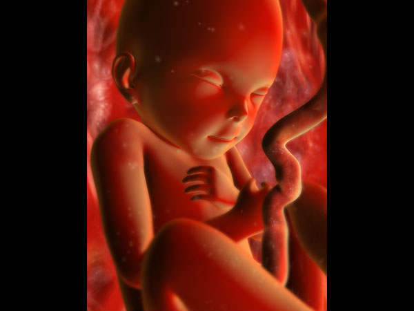 குழந்தை ஆணா? பெண்ணா? : 