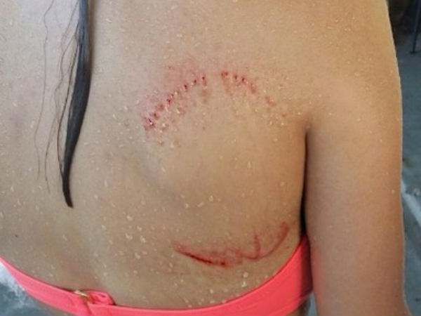 ஷார்க் : 