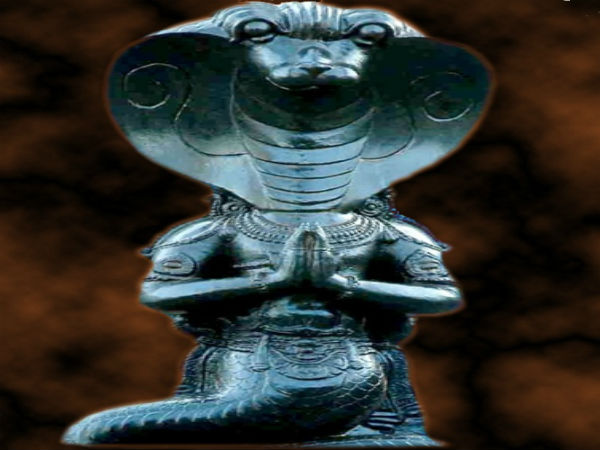 ராகு தோஷம்