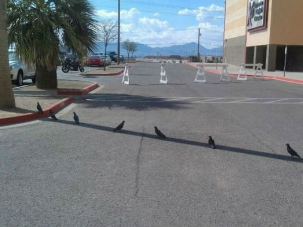 ச்சோ ஸ்வீட்.. ச்சோ ஸ்வீட்..