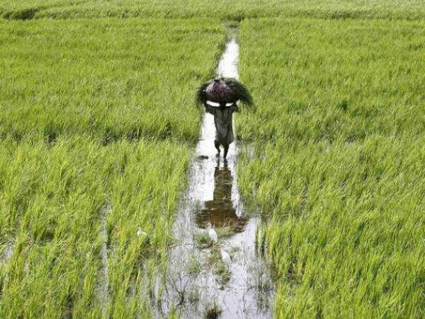 ஊன் உழைத்து உண்