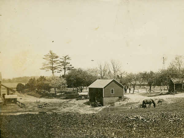 குழந்தைகள் மரணம் : 