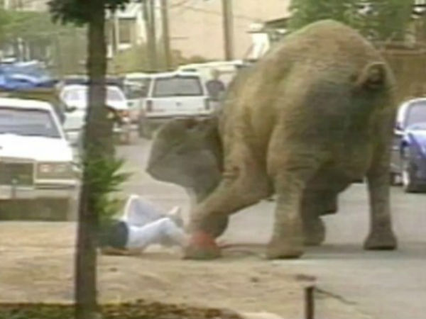 மூன்றாவது முறை : 