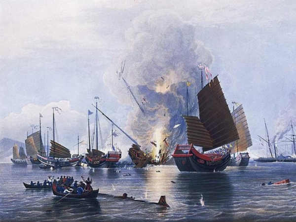 குரங்குகள் : 