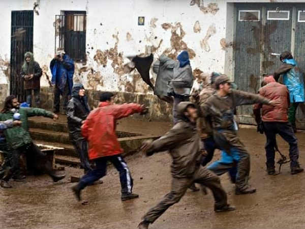 எறும்பு : 