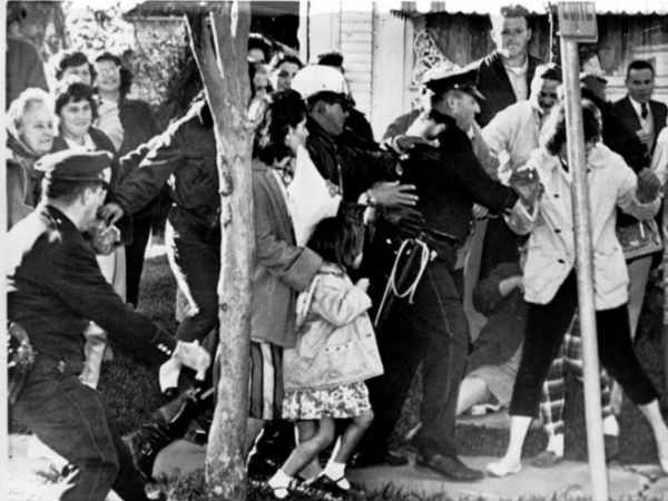 சலசலப்பு : 