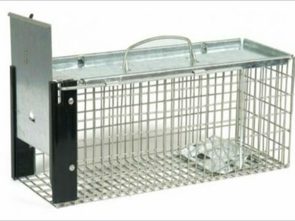 8. எலிப்பொறி