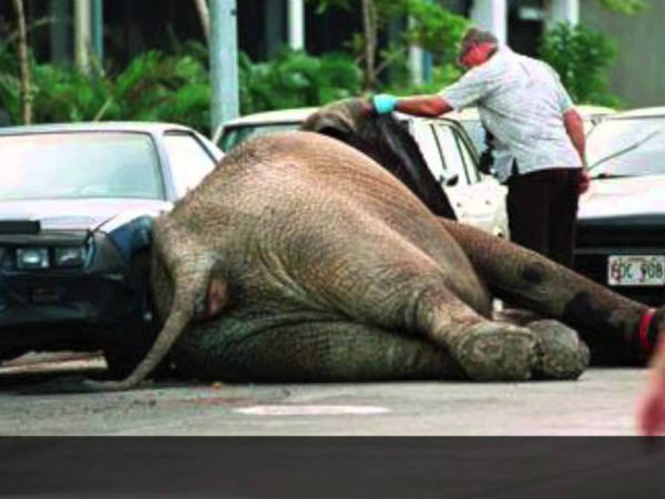  அந்த நாள் : 