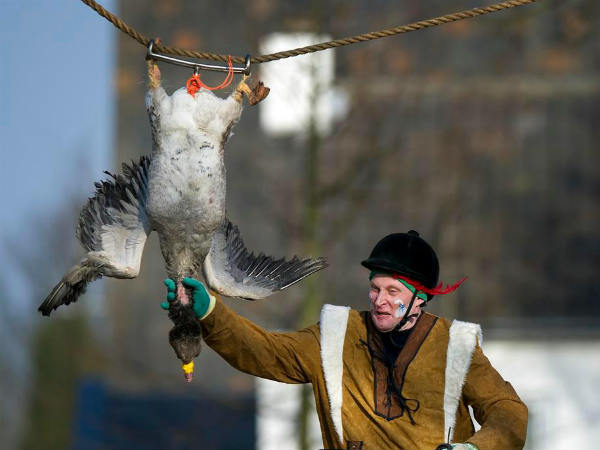 வாத்து : 