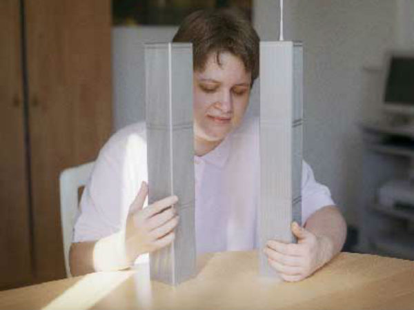 இரட்டை கோபுரம் : 