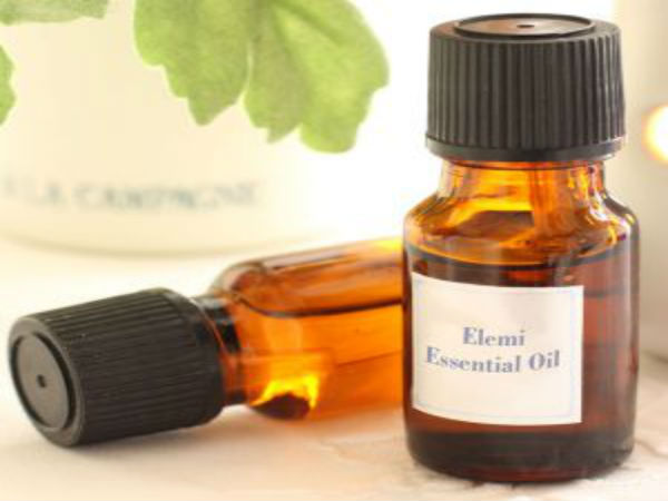 பயன்கள் 