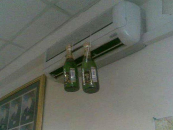 கூல் பியர்!