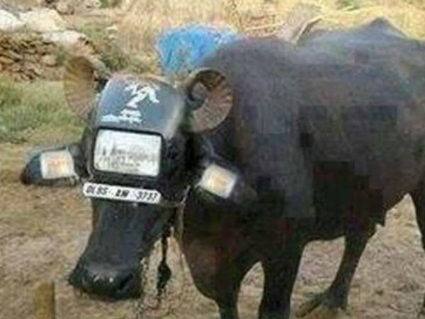 அடுத்து லைசன்ஸ்...