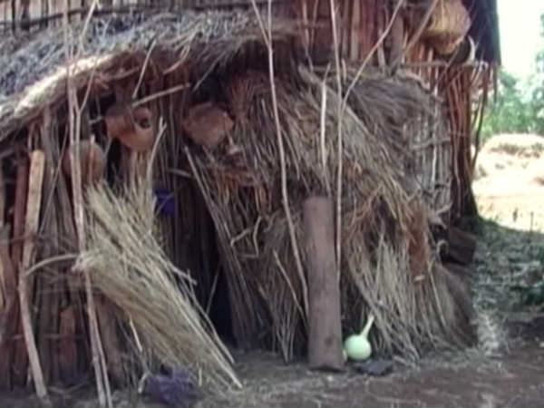 இங்கே என்ன செய்கிறார்கள் : 