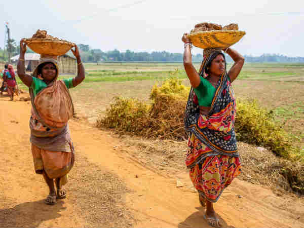 கூலி வேலை : 