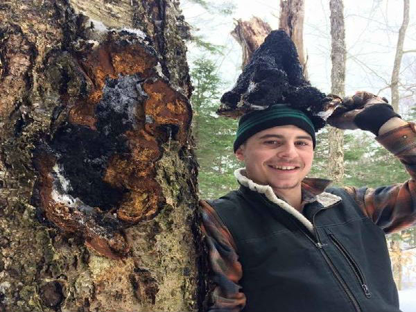 மருத்துவ வகை காளான்கள்