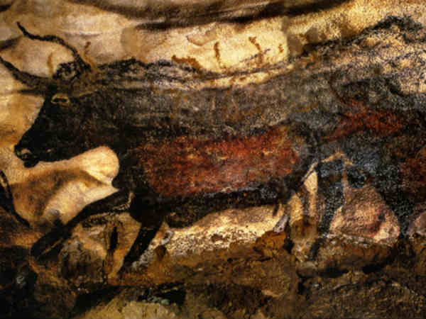 லாஸ்கஸ் குகை : 