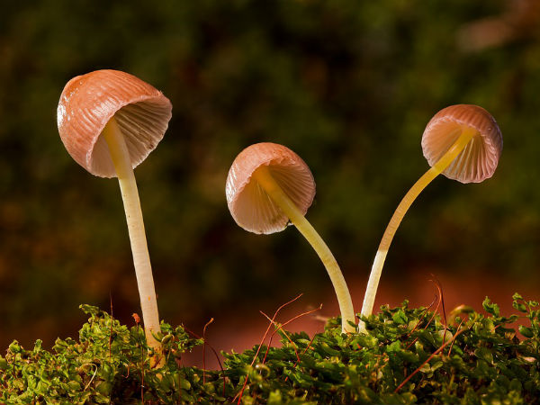 கவனத்தில் வைக்க வேண்டியவை