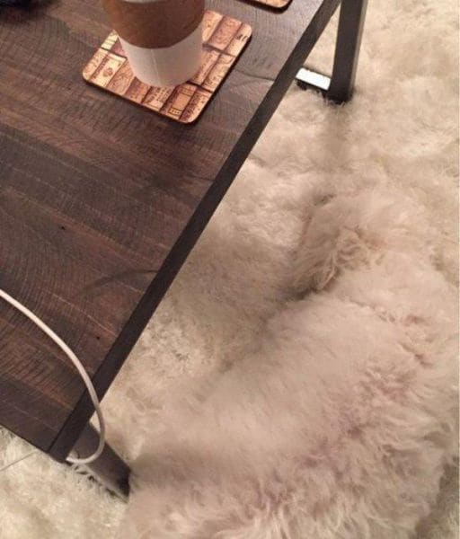 கண்டுபிடி #3