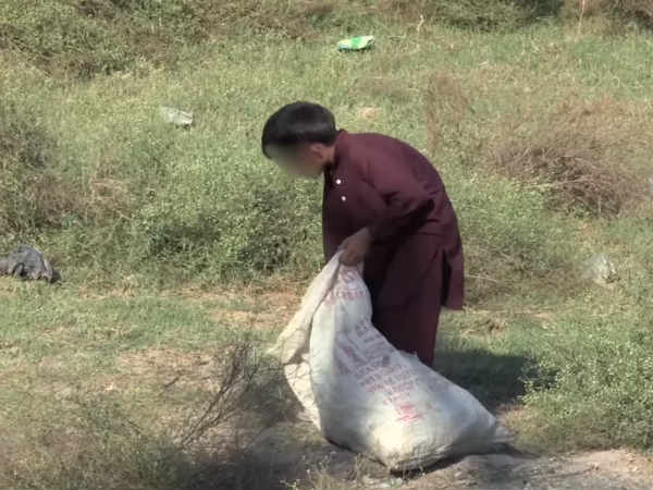 ஆப்கானிஸ்தான் கலாச்சாரம் : 