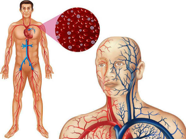 லிப்பிட் : 