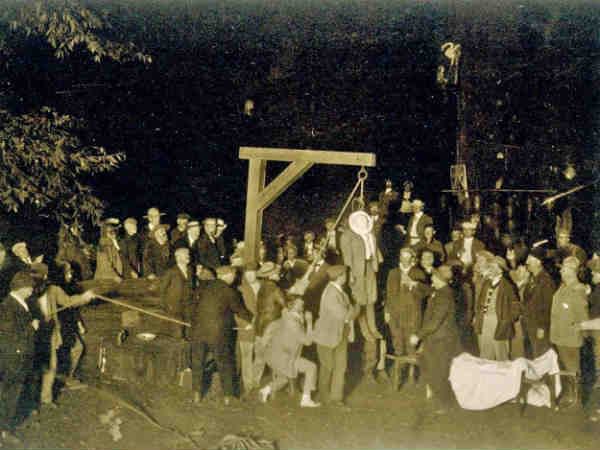  போஹிமியான் தோப்பு : 