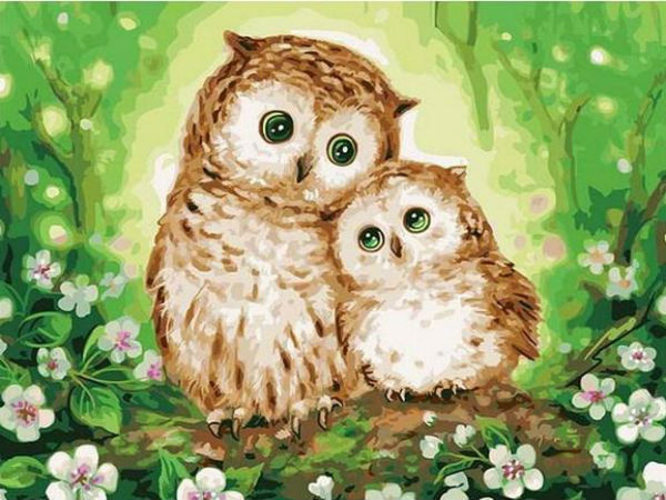 ஆந்தை, கழுகு படம் ஆகாது