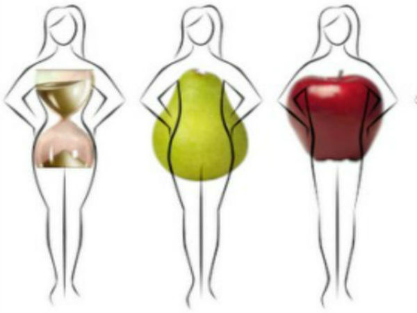 diet plan using your body type diet plan using your body type