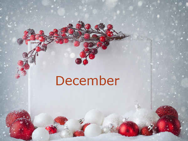 டிசம்பரில் பிறந்தவர்களுக்கு 3 கற்கள்