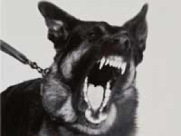 தேவையற்ற கற்பனை 