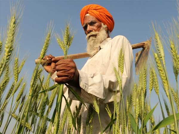 முடிவுரை