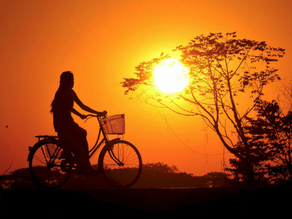 நீண்ட பகல் கொண்ட நாள்