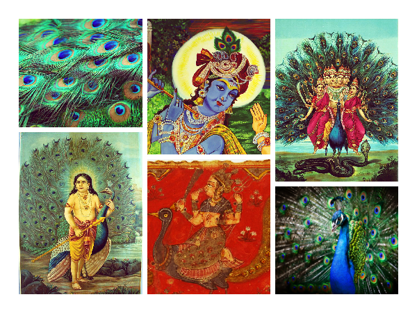 முருகப் பெருமானின் வாகனம் முருகப் பெருமானின் வாகனம்