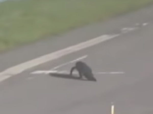 விடியோ எடுத்த பயணி