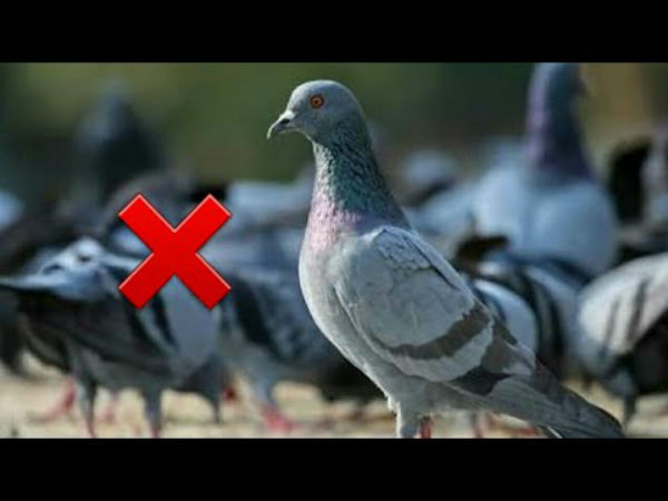 துரதிஷ்டம்