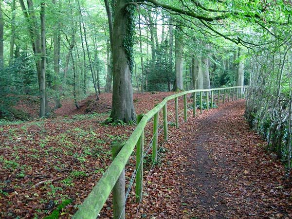 எச்சரிக்கை