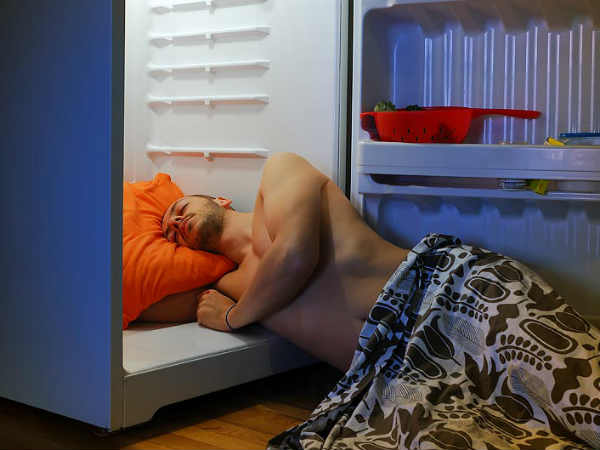 ஃபிரிட்ஜ் : 