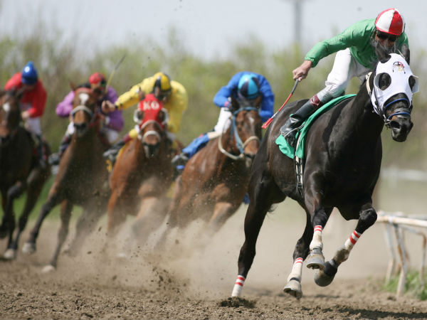 குதிரை ஜாக்கி